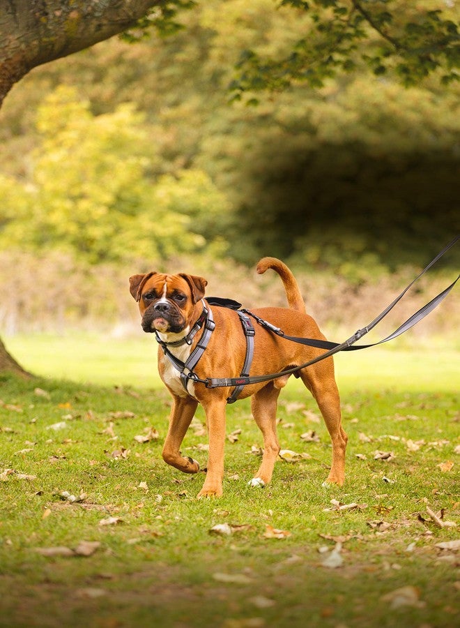 HALTI Double-Ended Leash for Dogs - Neoprene-Padded, Easy to Use, Reflective, Adjustable Lengths, Ideal Dog Leash for Hands Free Running & Training. Suitable for Small Dogs and Puppies (Size S, Red) - Image 3